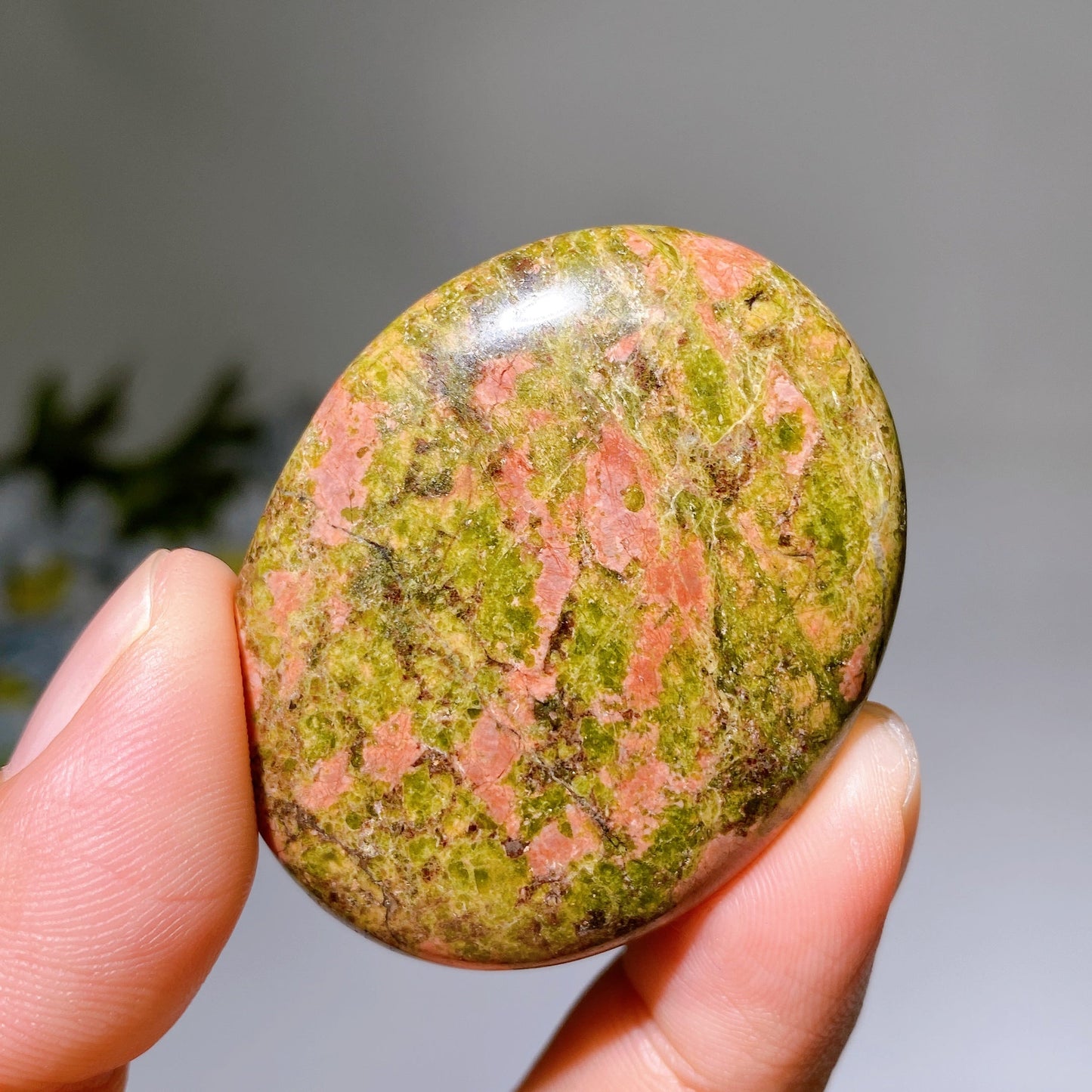 1.9" Crystal Palm Crystal Healing Bulk Wholesale