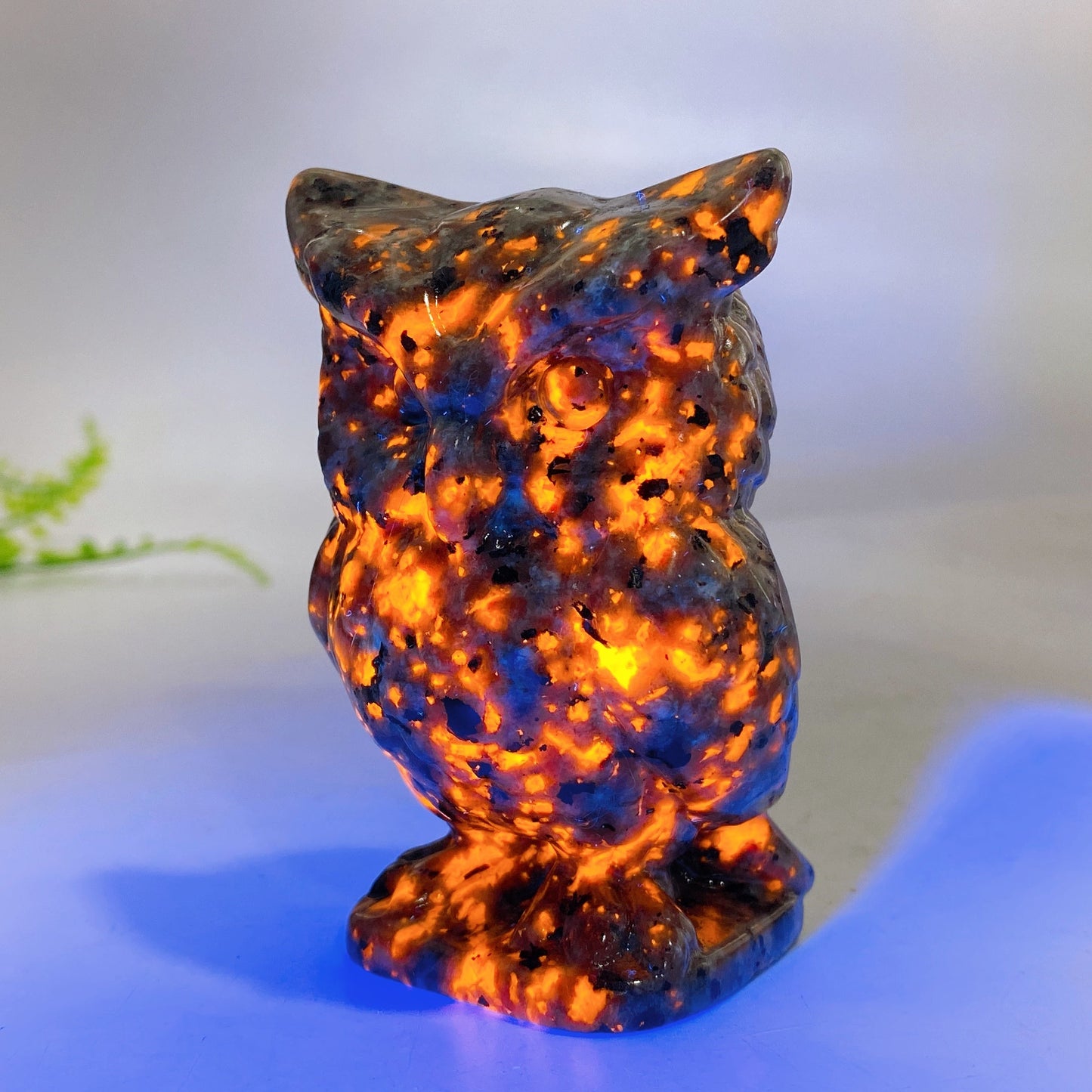 3.1" Natural Black Obsidian Yooperlite Owl Carving Wholesale