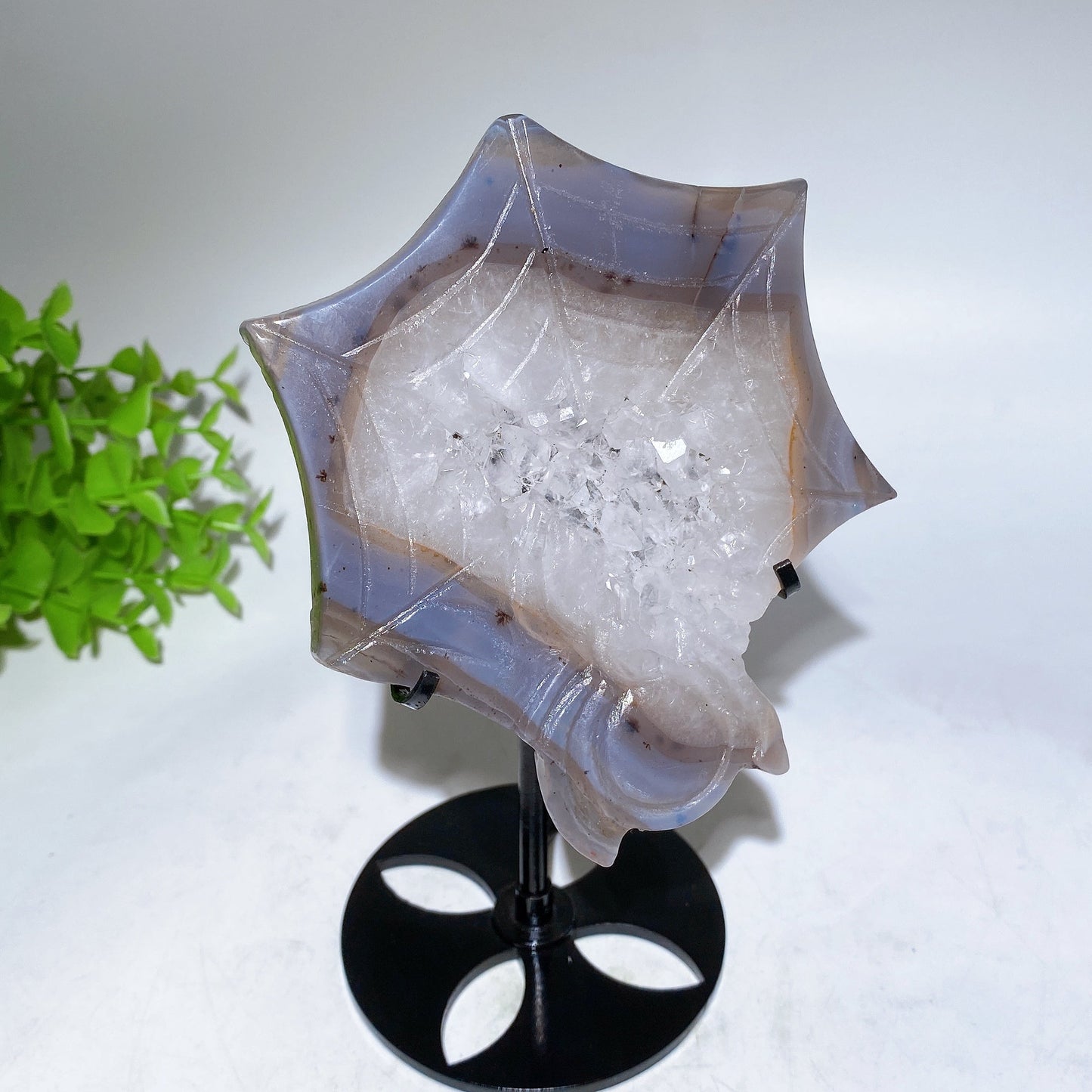 4.4" Druzy Agate Spider Web Carving with Stand Crystal Healing Bulk Wholesale