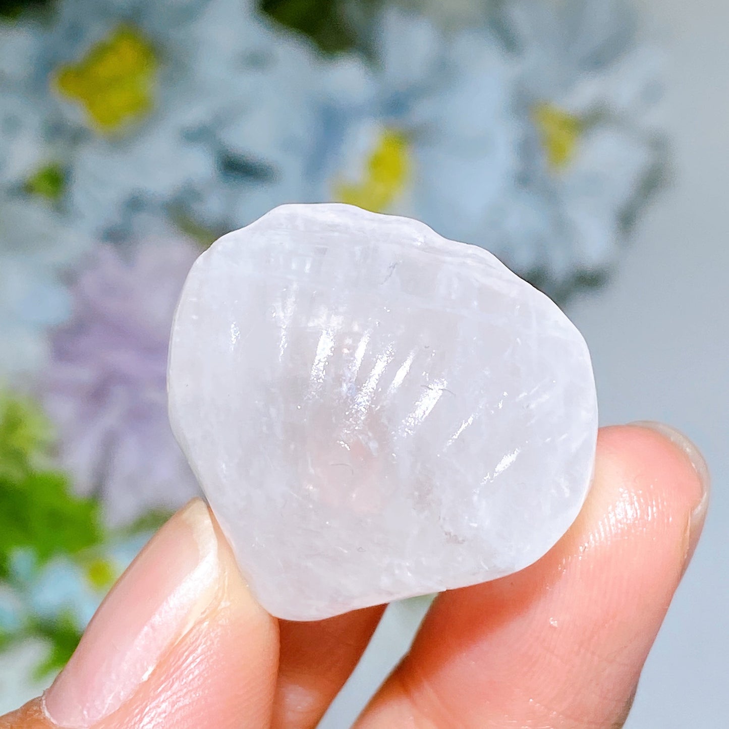 1.1" Crystal Shell Carving Crystal Healing Bulk Wholesale