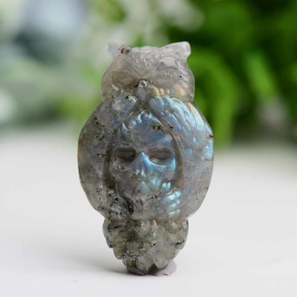 2.1" Labradorite Owl with Skull Dec Crystal Carving