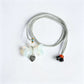 Natural Crystal Pet Memorial Necklace Wholesale
