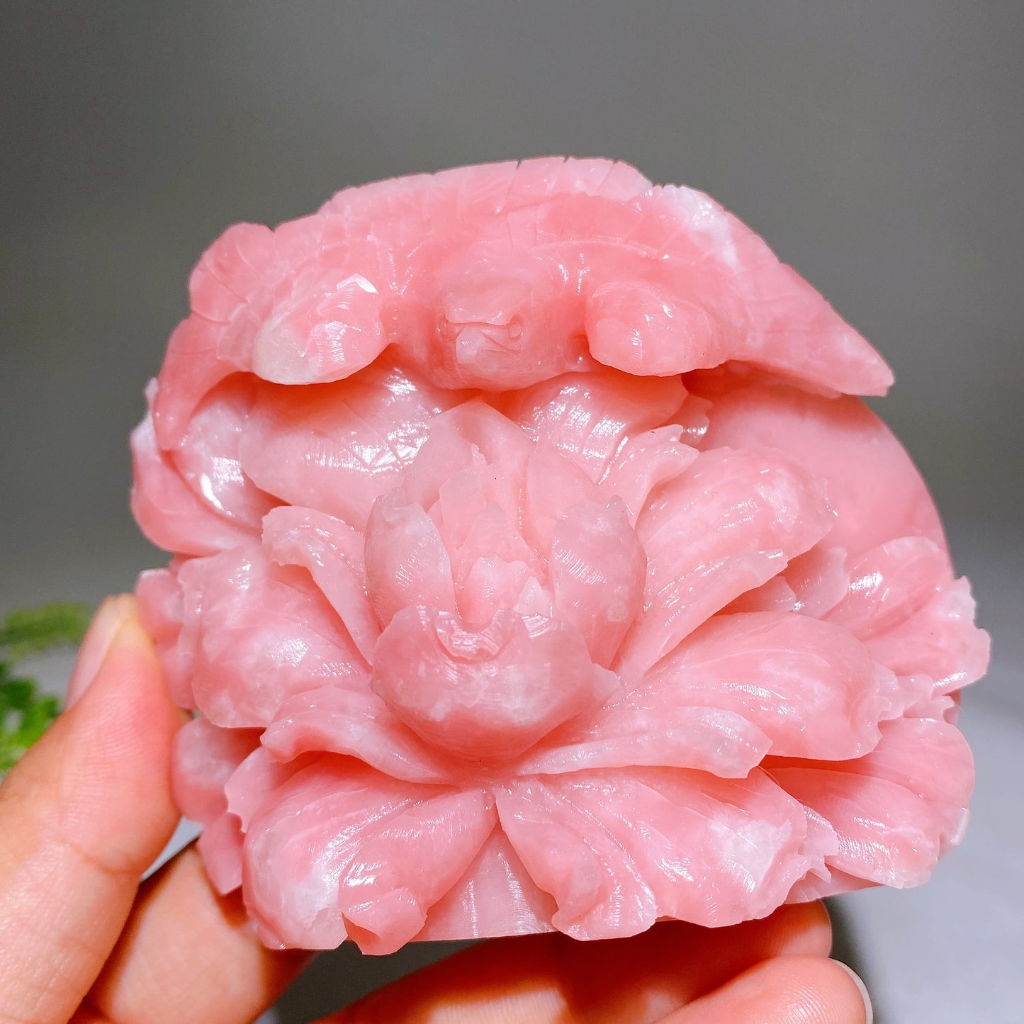 3.6" Unique Hand Carved Natural Pink Opal Bird Peony Free Form Wholesale