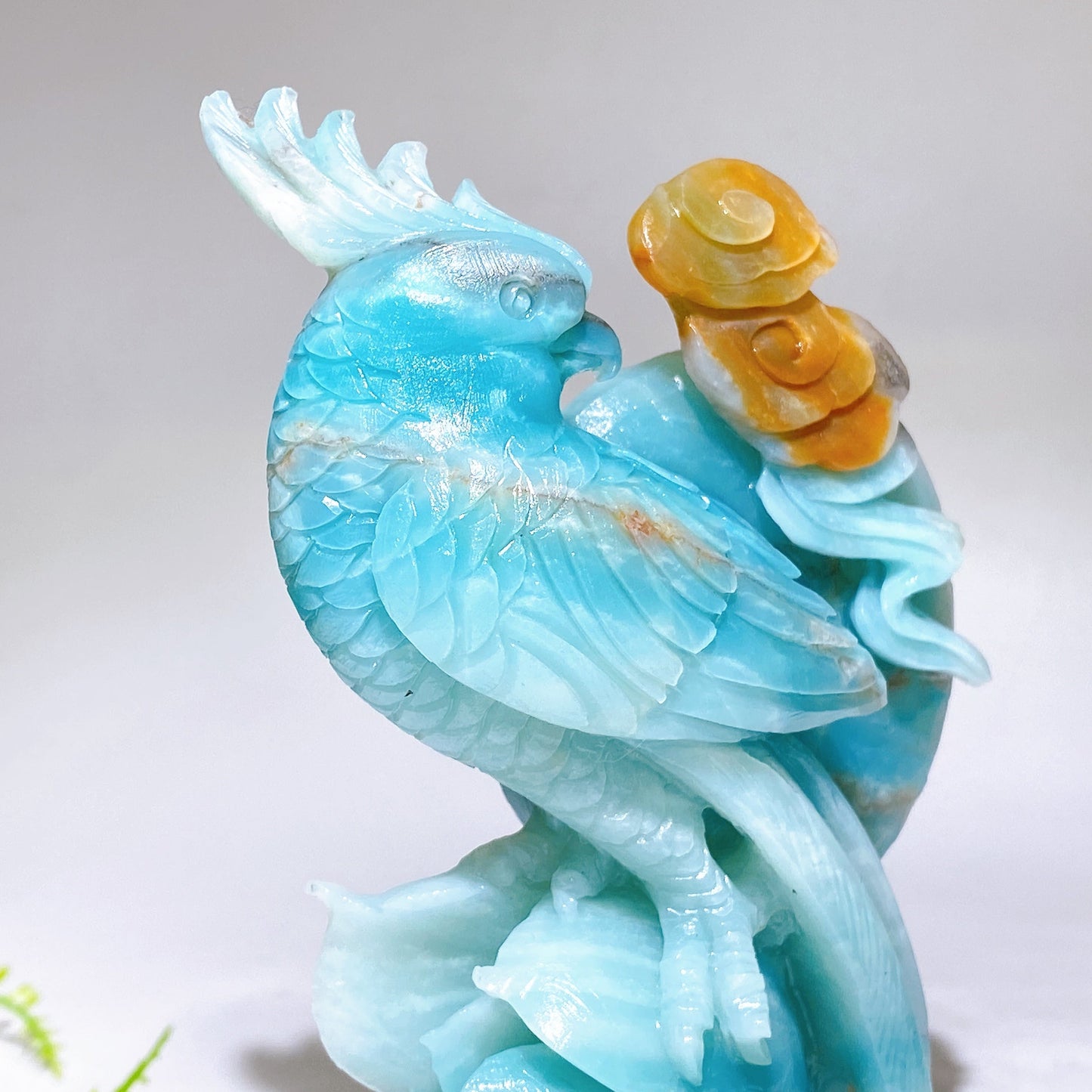 Hand Carved Unique Natural Caribbean Calcite Parrot Peony Cloud Free Form Wholesale