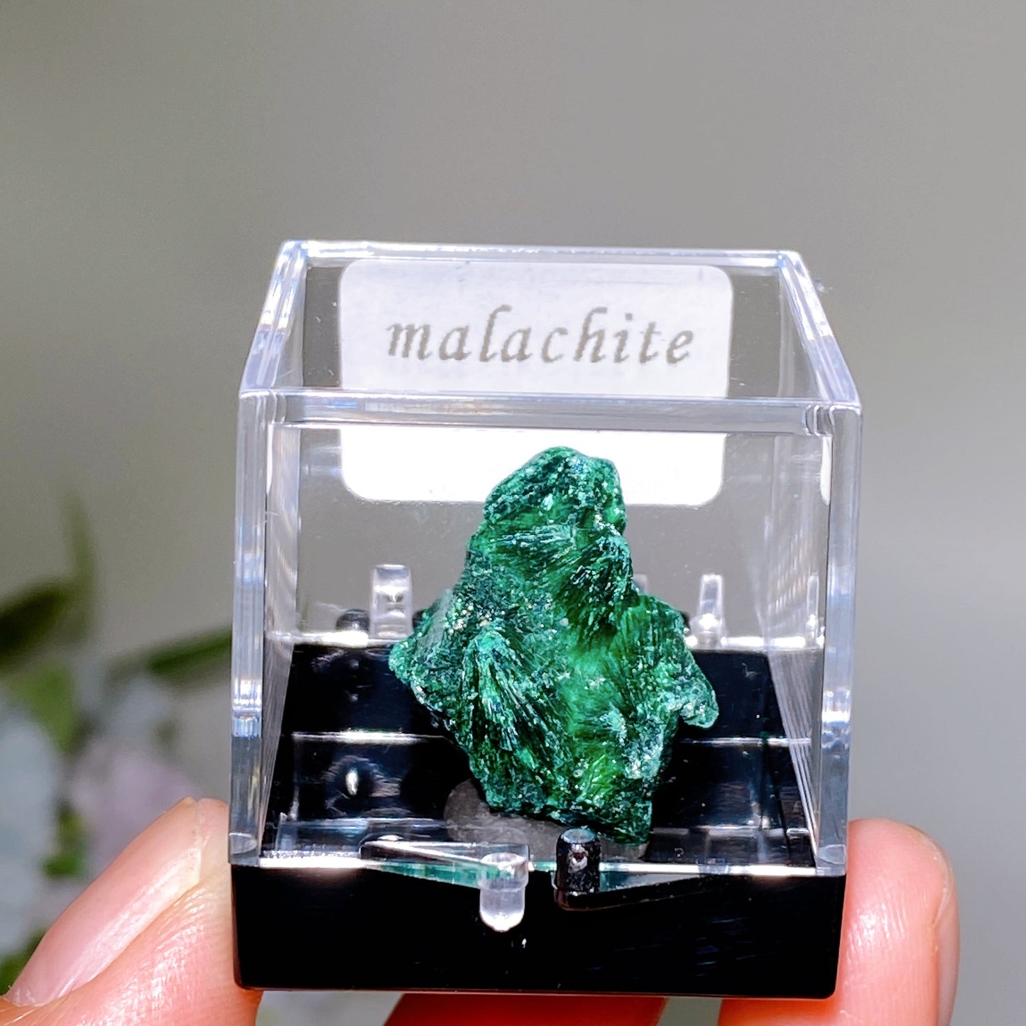 Specimen Box Crystal Healing Bulk Wholesale