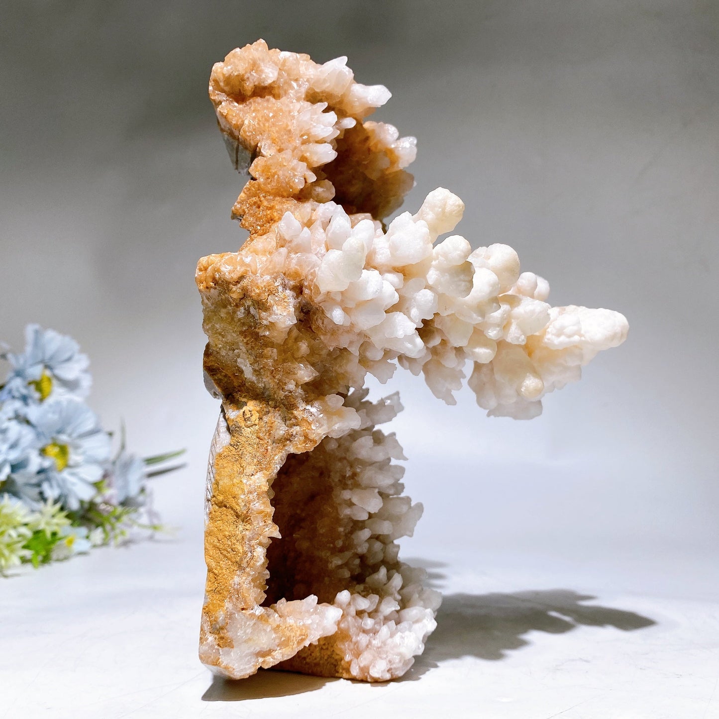 20cm Unique Calcite Cluster Phoenix Carving Crystal Healing Bulk Wholesale