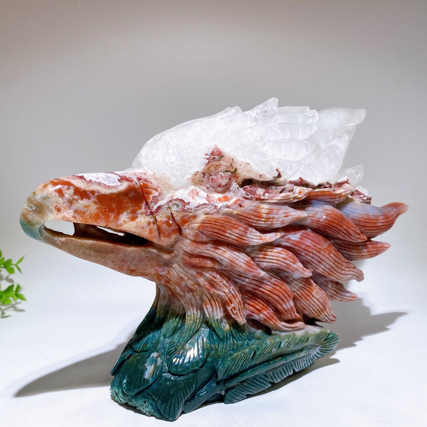 30cm Large Unique Ocean Jasper Growing with Quartz Eagle Head Carving Crystal Healing Bulk Wholesale