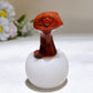 2.6" Crystal Baby Dinosaur White Jade Shell Carving Crystal Healing Bulk Wholesale