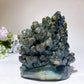 Unique Labradorite Ocean Coral Fish Carving Crystal Healing Bulk Wholesale
