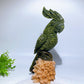 28cm Large Unique Serpentine Parrot Carving with Calcite Cluster Base Crystal Healing Bulk Wholesale