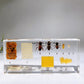 Resin Life Cycle of Honeybee Free Form Crystal Healing Bulk Wholesale