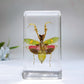 Resin Mantis Free Form Crystal Healing Bulk Wholesale