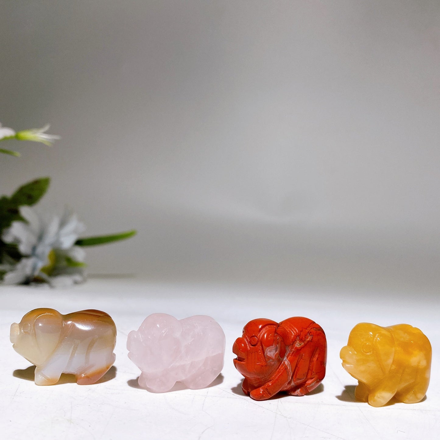 1.0" Crystal Pig Carving Gemstone Box Collection Crystal Healing Bulk Wholesale