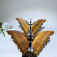 Yellow Tiger's Eye Butterfly Carvings with Stand Free Form Crystal Healing Bulk Wholesale