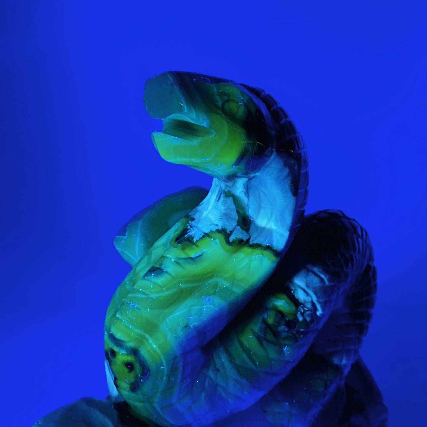 16cm Large Uniqu UV Reactive Volcanic Agate Snake Carving Crystal Healing Bulk Wholesale