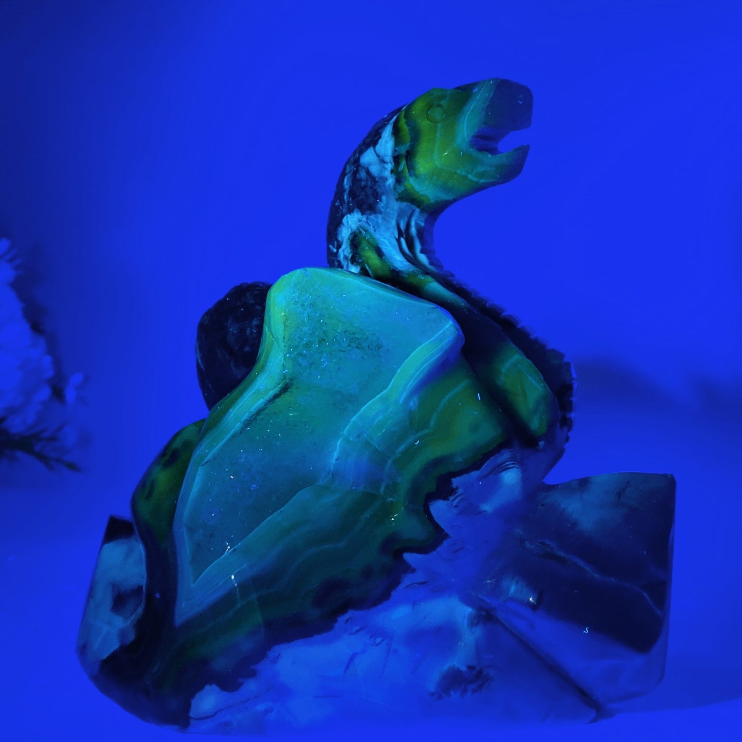 16cm Large Uniqu UV Reactive Volcanic Agate Snake Carving Crystal Healing Bulk Wholesale