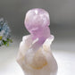 18cm Large Unique Amethyst Grow with Quartz Ghost Hand Holding Skull Carving Crystal Healing Bulk Wholesale