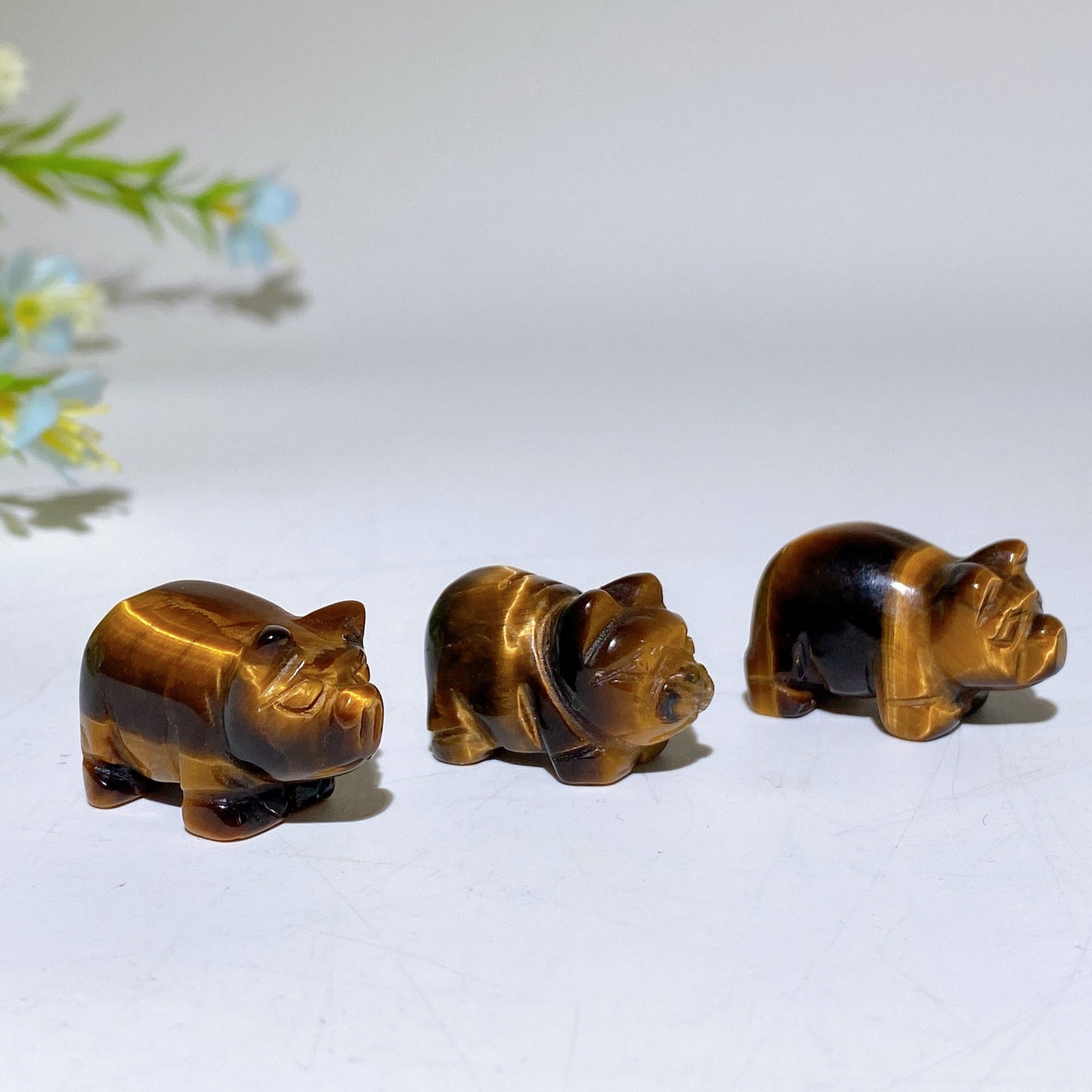 0.9" Yellow Tiger's Eye Pig Carvings Crystal Healing Bulk Wholesale