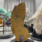 Rare Raw Vivianite Stick Specimen with Wooden Stand Crystal Healing