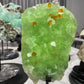 15cm Green Fluorite Grow with Barite with Stand Crystal Healing
