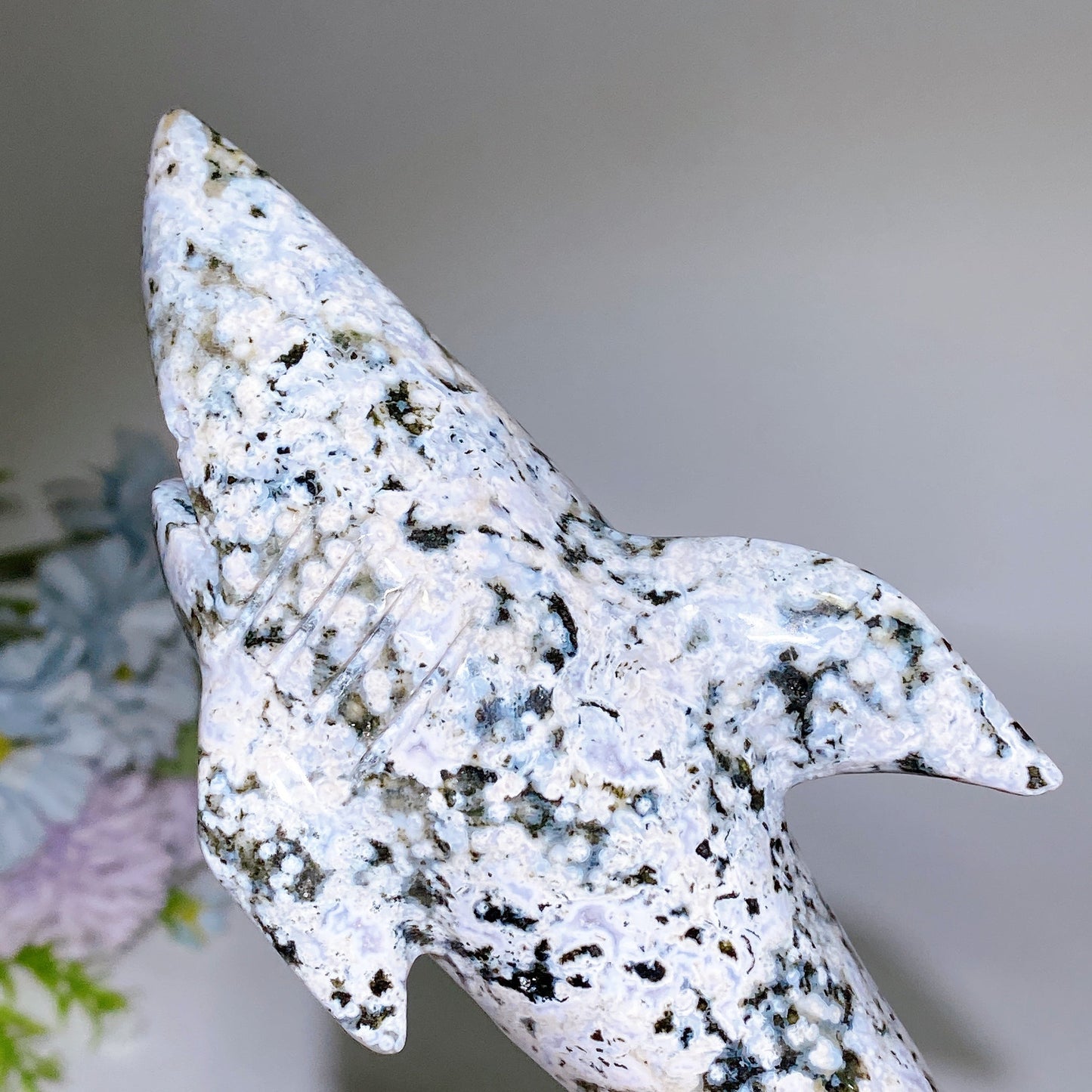 17cm Ocean Jasper Shark Carving Crystal Healing Bulk Wholesale