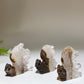 1.8" Clear Quartz Cluster Squirrel Carving Crystal Healing Bulk Wholesale