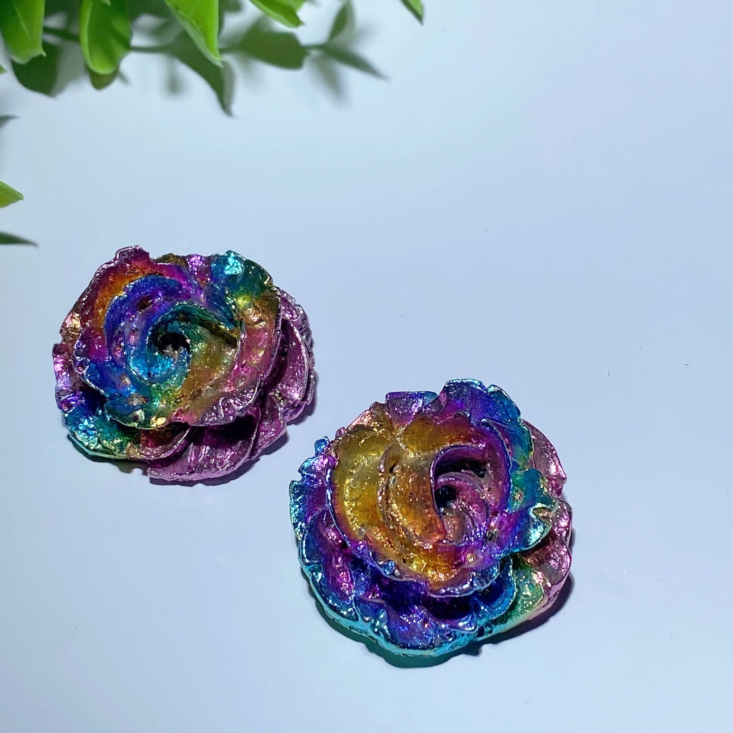 1.5“ Aura Bismuth Rose Flower Bulk Wholesale