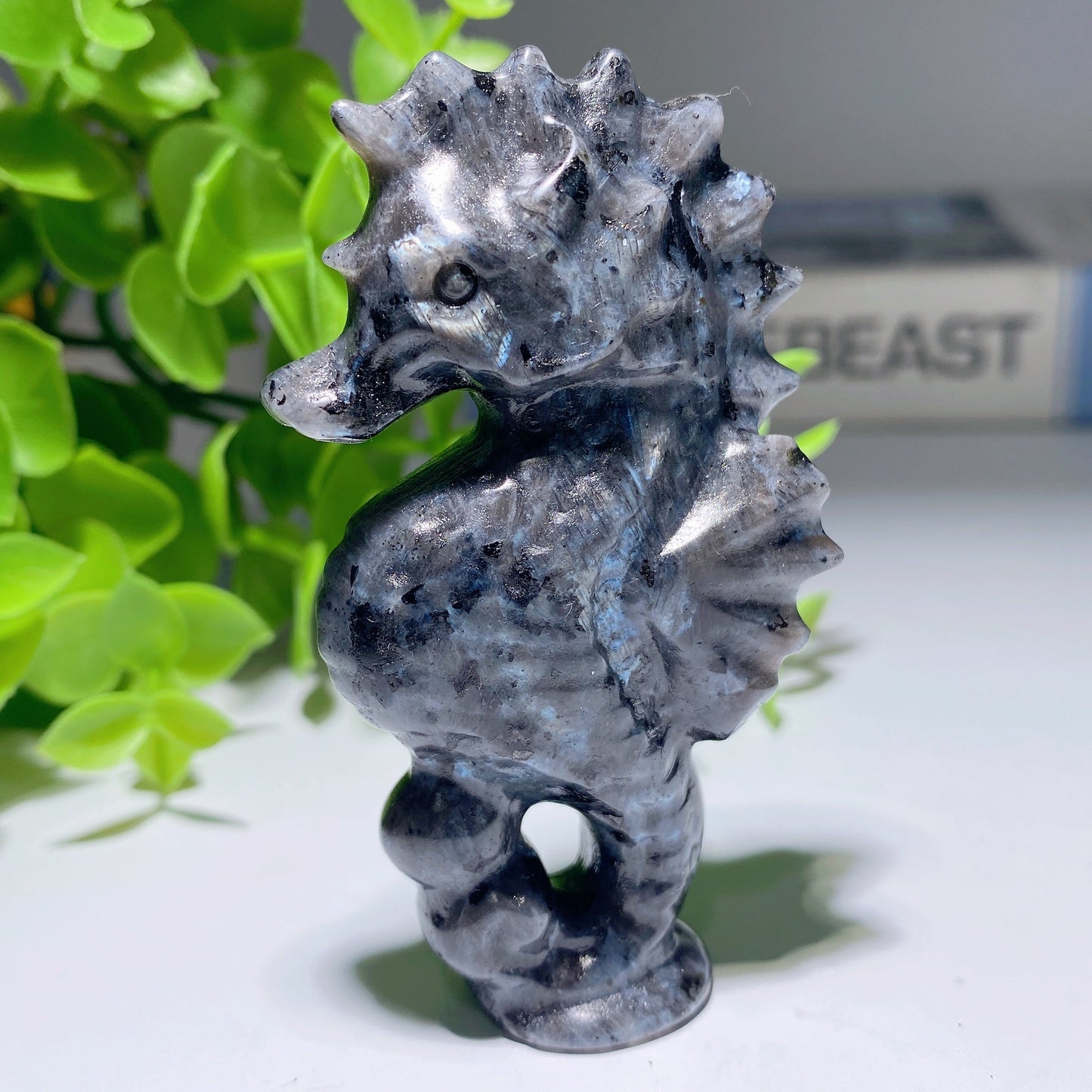 3.1" Larvikite Hippocampus Carvings Bulk Wholesale