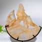 4.0"-4.4" Crystal Wolf On Moon Carving with Stand Crystal Healing Bulk Wholesale