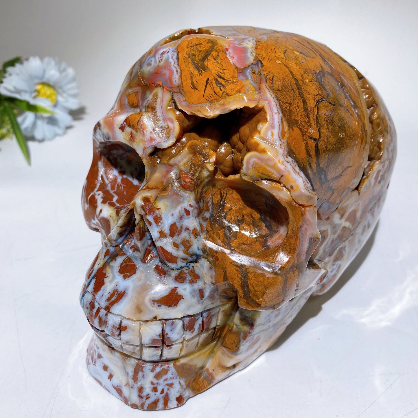 6.3" Large Unique Brecciated Agate Skull Crystal Healing Carving