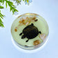 8.5cm Luminous Round Slab with Insect Crystal Healing Bulk Wholesale