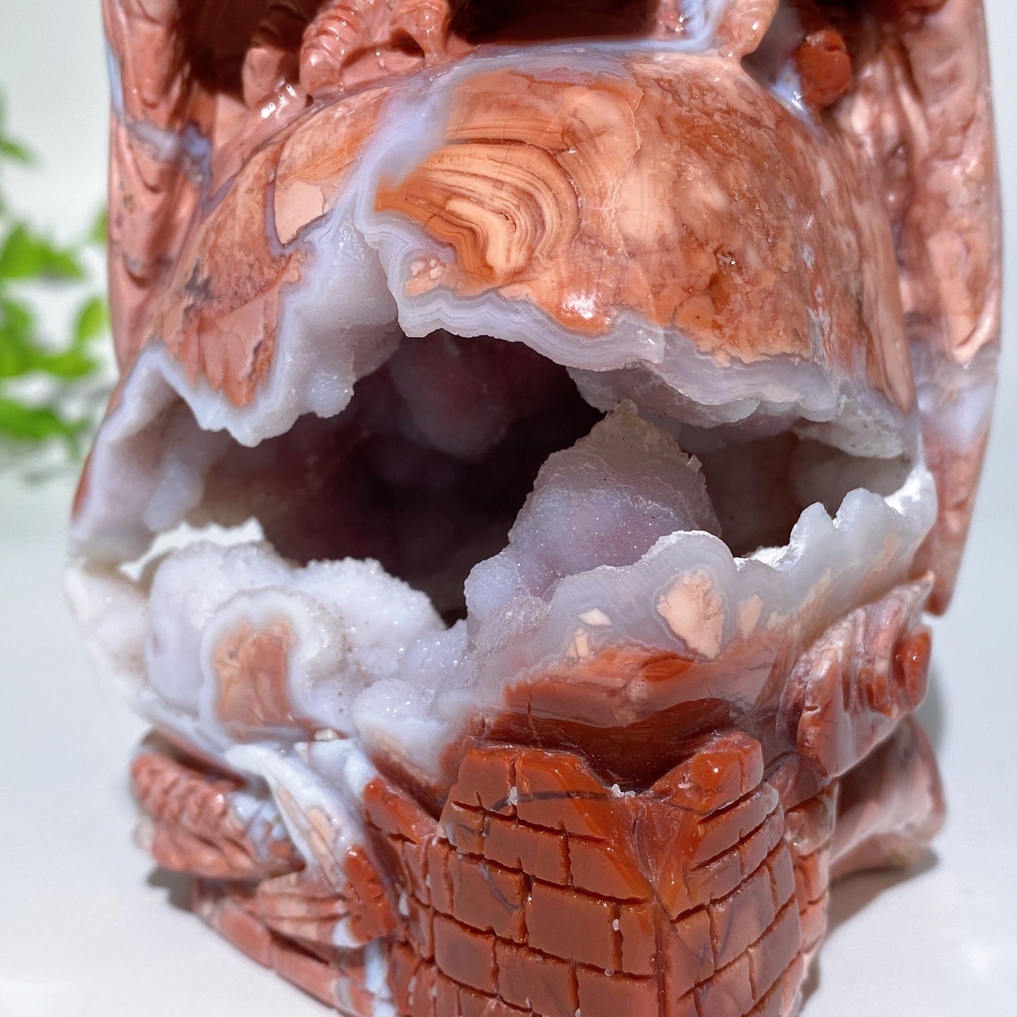 4.7" Unique Druzy Cotton Candy Agate Dragon Carving Crystal Healing Bulk Wholesale