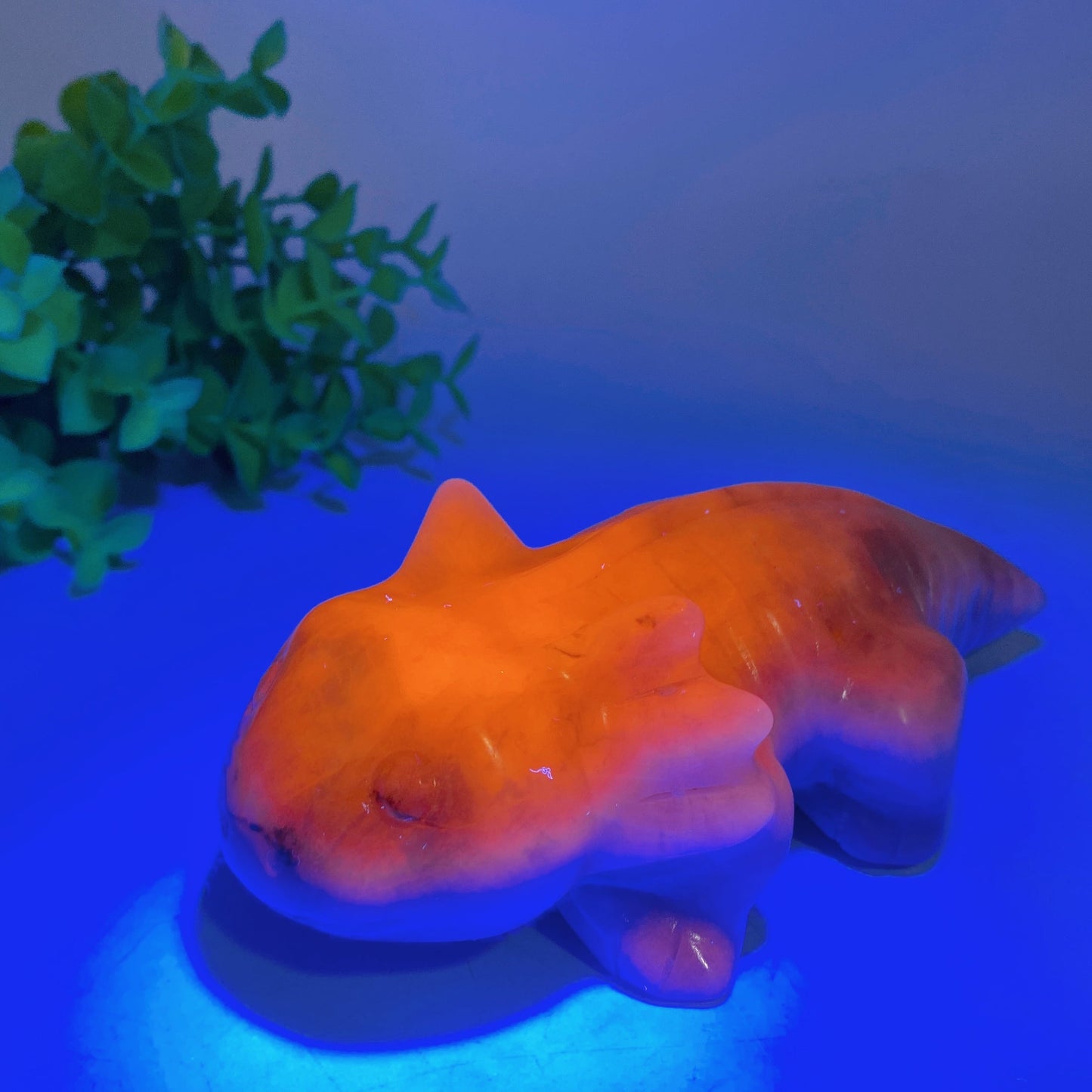5.6" Crystal Salamander Carving Crystal Healing Bulk Wholesale