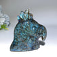 3.3" Labradorite Parrot Head Carving Crystal Healing Bulk Wholesale