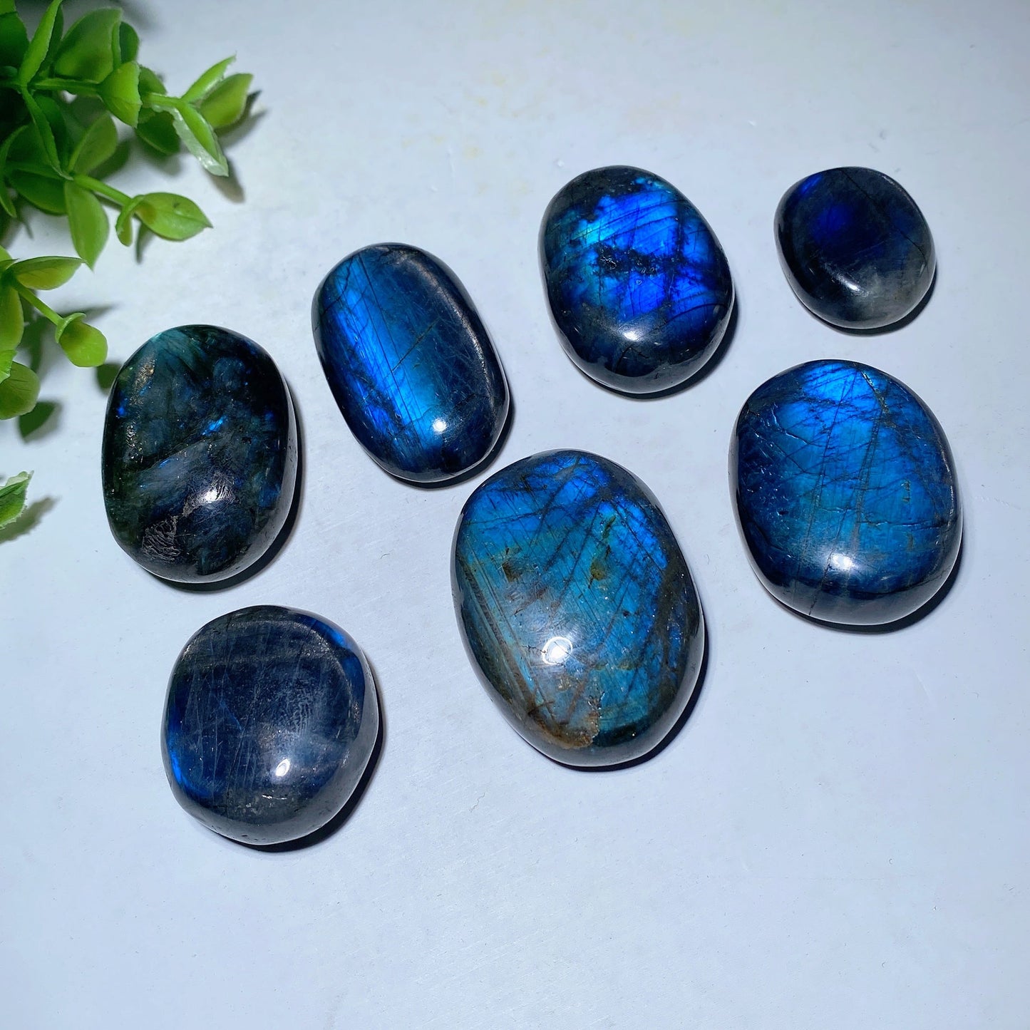 1.0"-1.5" Labradorite Palm Bulk Wholesale