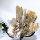 Unique Golden Mica Grow with Aquamarine Black Tourmaline & Quartz Specimen with Stand Crystal Healing Bulk Wholesale