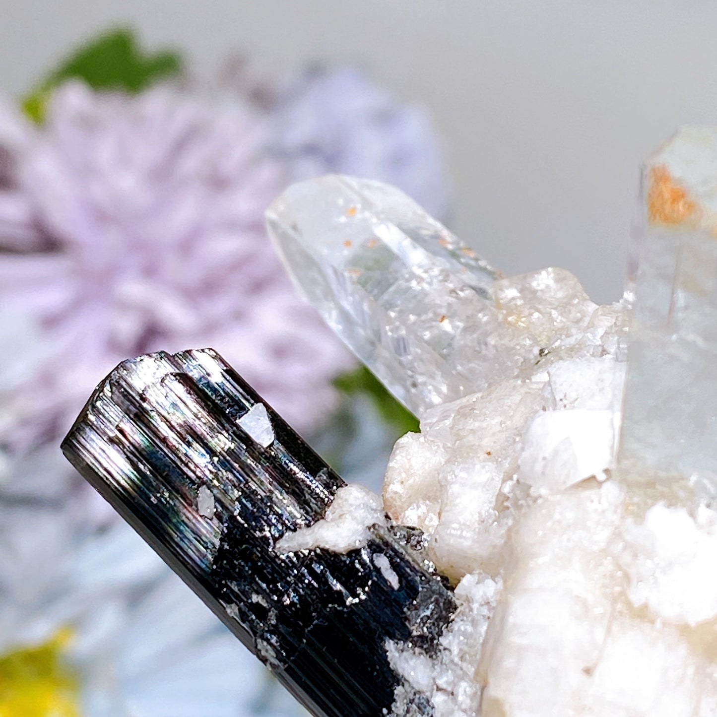 Unique Golden Mica Grow with Aquamarine Black Tourmaline & Quartz Specimen with Stand Crystal Healing Bulk Wholesale