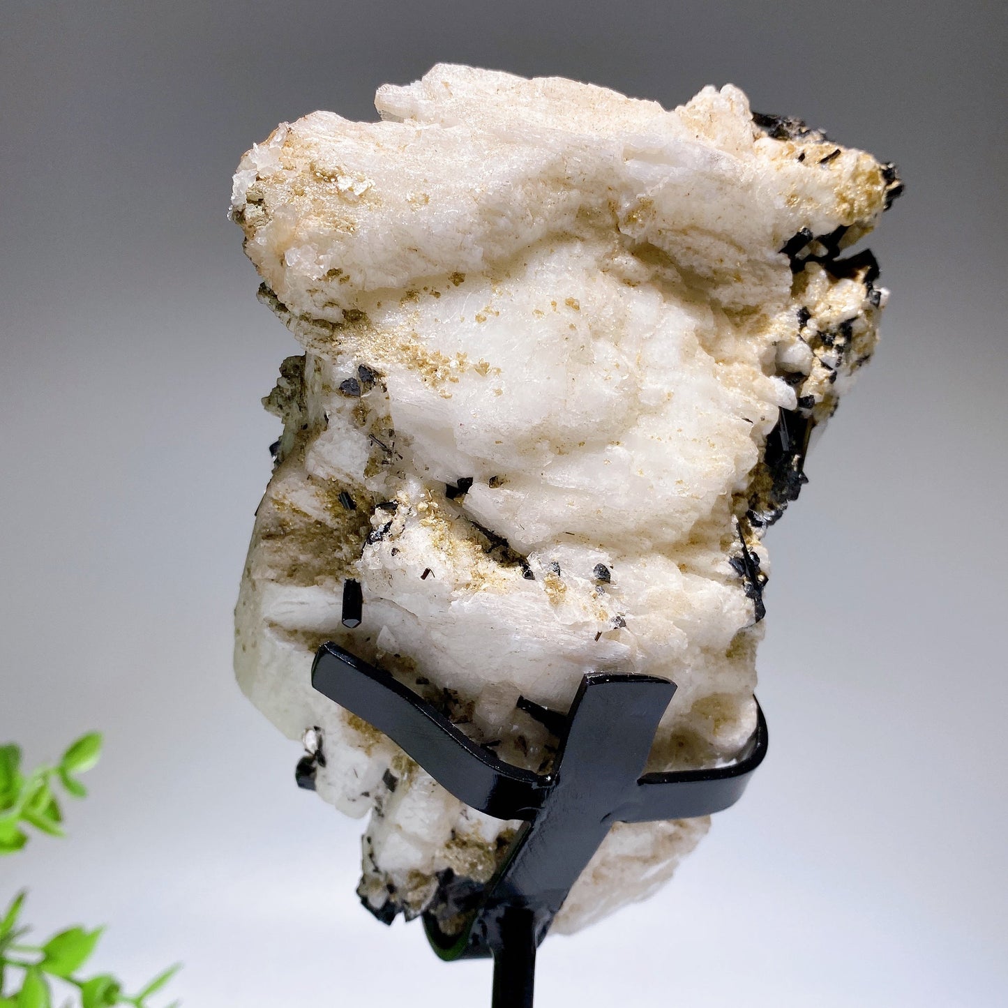 Unique 18cm Black Tourmaline In Feldspar Specimen with Stand