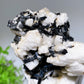 Unique 18cm Black Tourmaline In Feldspar Specimen with Stand