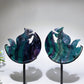 Druzy Agate Rainbow Fluorite Squirrel on Moon Carving with Stand Crystal Healing Bulk Wholesale