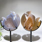 Druzy Agate Rainbow Fluorite Squirrel on Moon Carving with Stand Crystal Healing Bulk Wholesale