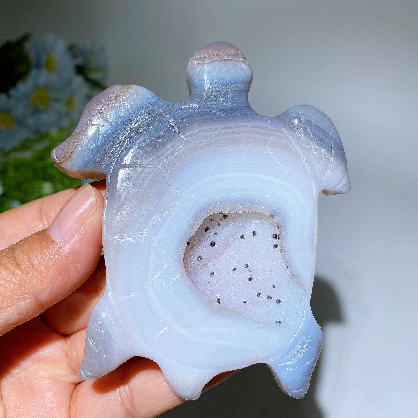10cm Druzy Agate Turtle Carving Crystal Healing Bulk Wholesale