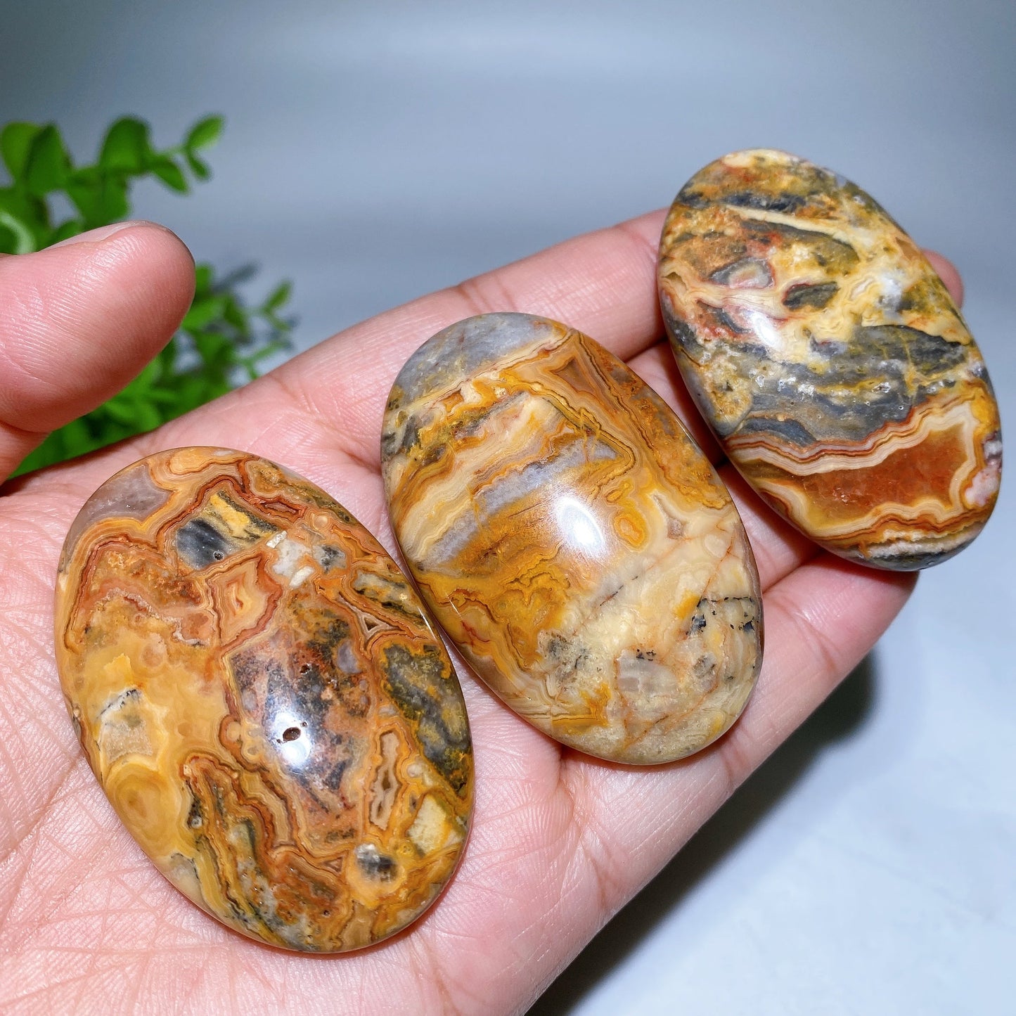 2.2" Crazy Agate Palm Stone Crystal Healing Bulk Wholesale