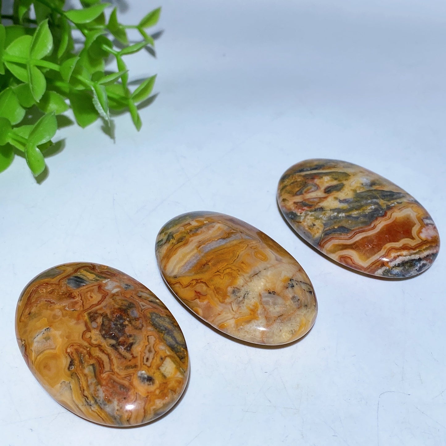 2.2" Crazy Agate Palm Stone Crystal Healing Bulk Wholesale