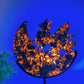 Crystal Nine-tails Fox on Moon Carving with Stand Crystal Healing Bulk Wholesale