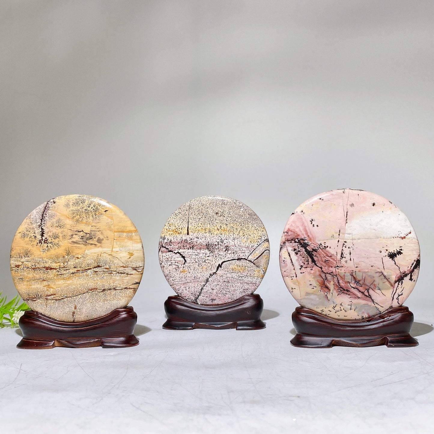 3.7" Picture Jasper Round Slab with Wooden Stand Crystal Healing Bulk Wholesale
