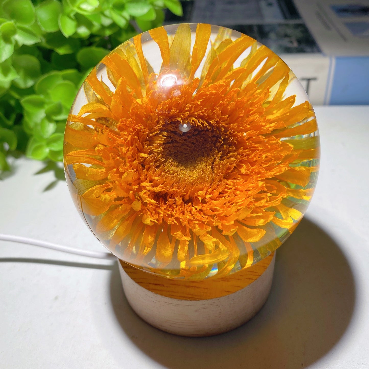 3.1" Resin Sunflower Sphere with Wooden Lamp Stand Bulk Wholesale