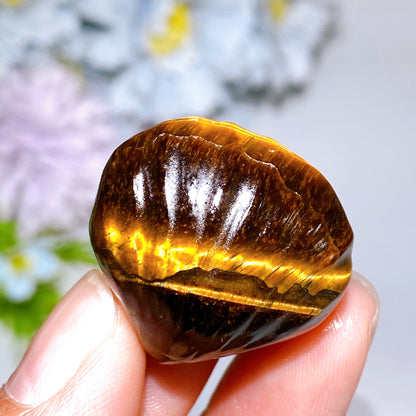 1.1" Crystal Shell Carving Crystal Healing Bulk Wholesale