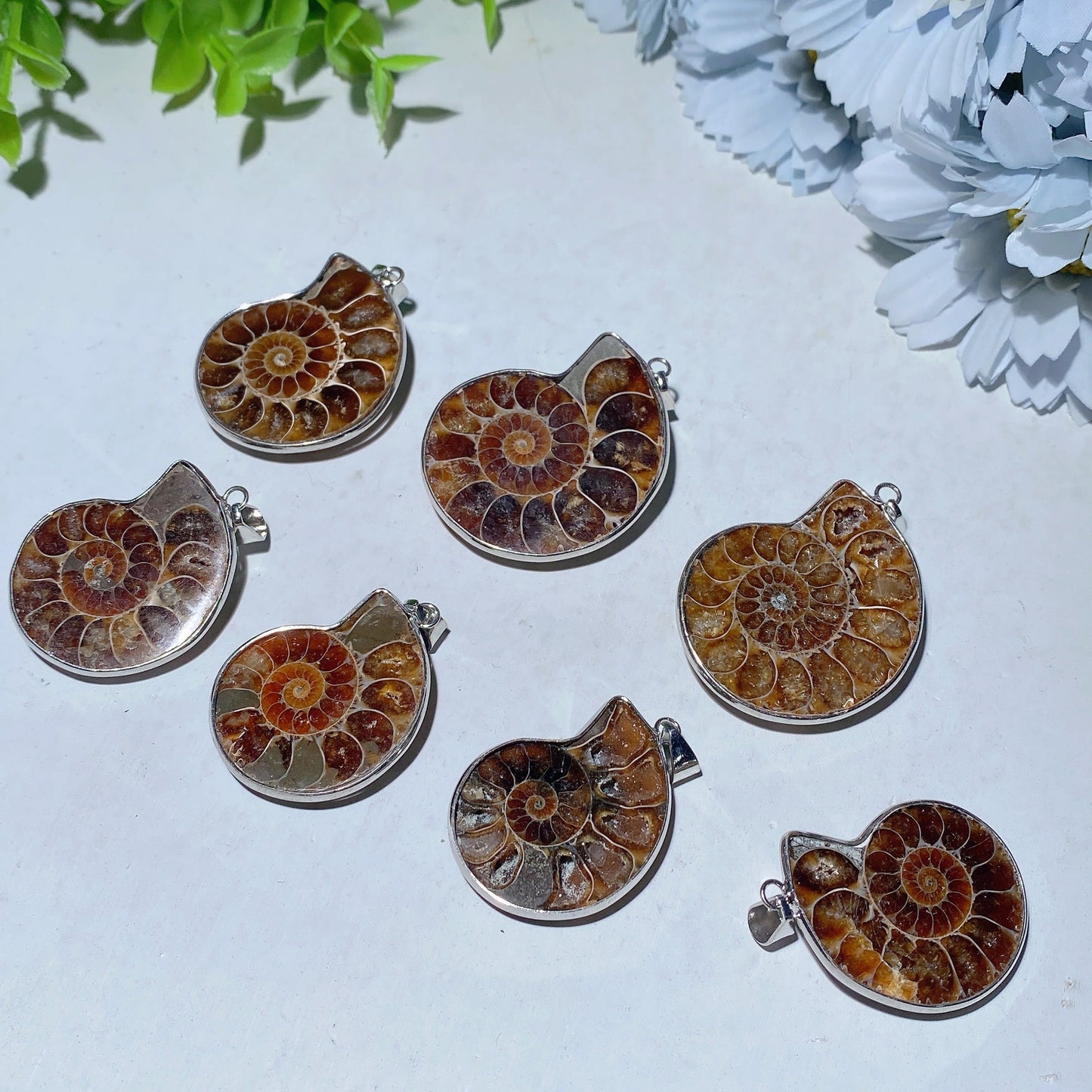 1.3"-1.6" Ammonite Pendant Bulk Wholesale