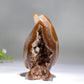 3.2" Unique Druzy Agate in Quartz Penguin Carving Crystal Healing Bulk Wholesale